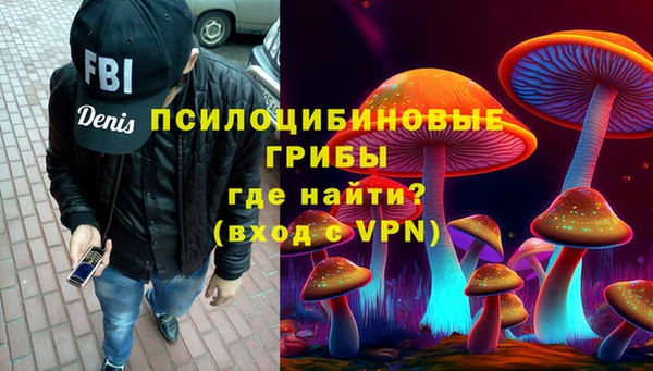 ПСИЛОЦИБИНОВЫЕ ГРИБЫ Елабуга