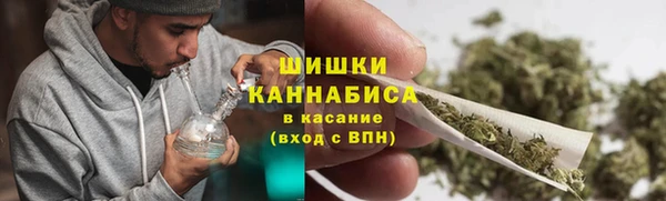 гашик Ельня