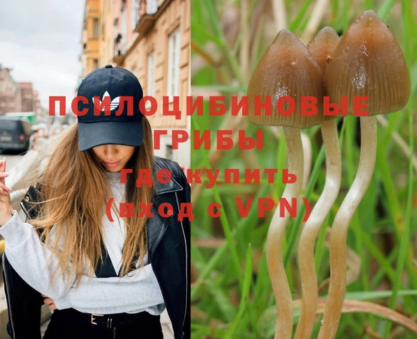 ПСИЛОЦИБИНОВЫЕ ГРИБЫ Елабуга