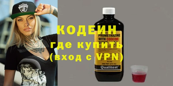 гашик Ельня