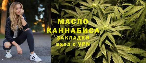 гашик Ельня