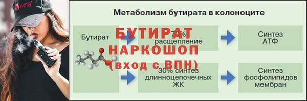 гашик Ельня
