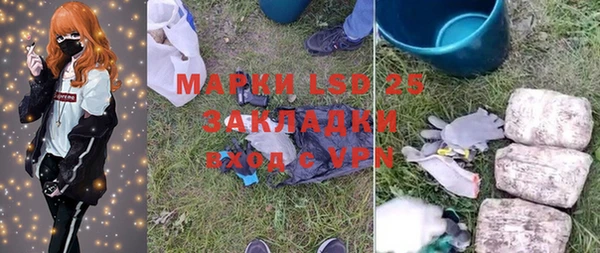 ПСИЛОЦИБИНОВЫЕ ГРИБЫ Елабуга