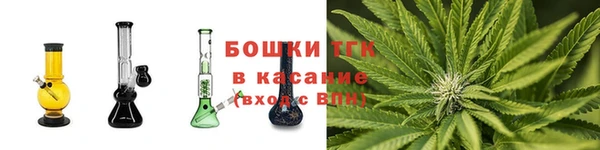 гашик Ельня
