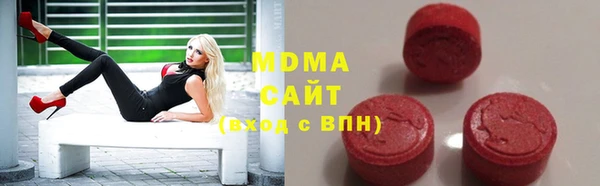 гашик Ельня
