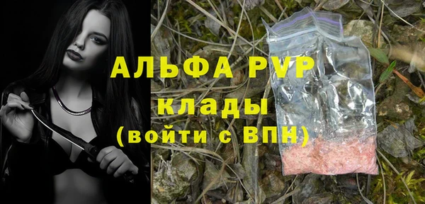 PSILOCYBIN Елизово