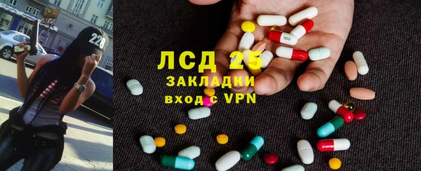 гашик Ельня