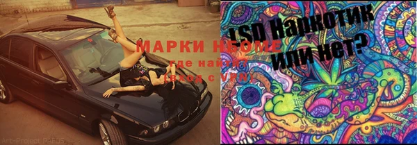 PSILOCYBIN Елизово