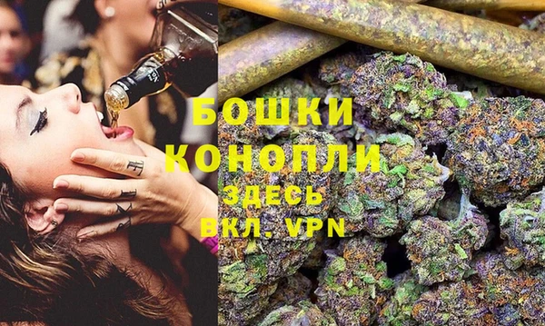 гашик Ельня