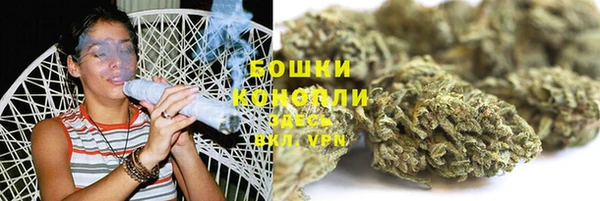 PSILOCYBIN Елизово
