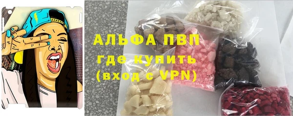 гашик Ельня