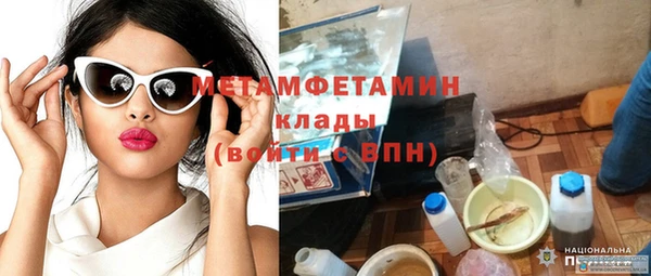 гашик Ельня