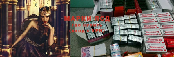 мдпв Апатиты