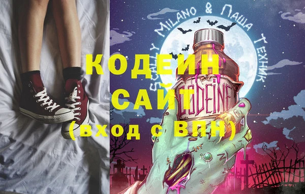 гашик Ельня