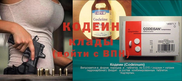 гашик Ельня