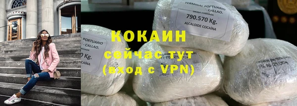 шишки Алапаевск