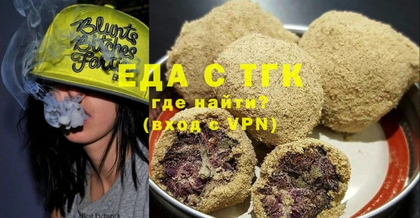 гашик Ельня