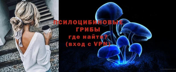 PSILOCYBIN Елизово