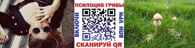 Псилоцибиновые грибы Cubensis  мега ССЫЛКА  Иланский  как найти закладки 